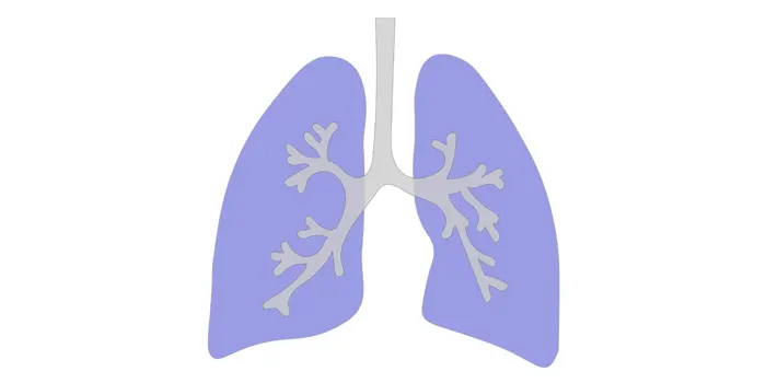 シーシャの煙は肺に入れる？