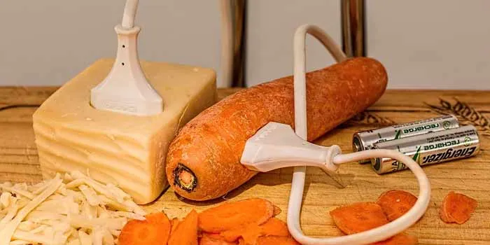 人参とチーズでバイオ発電する画像