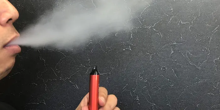 VuseGo(ビューズゴー)のスイカベリーを吸っている画像