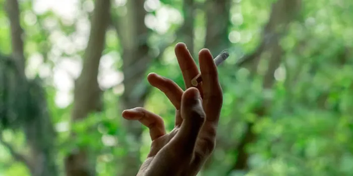 森林でタバコを吸う