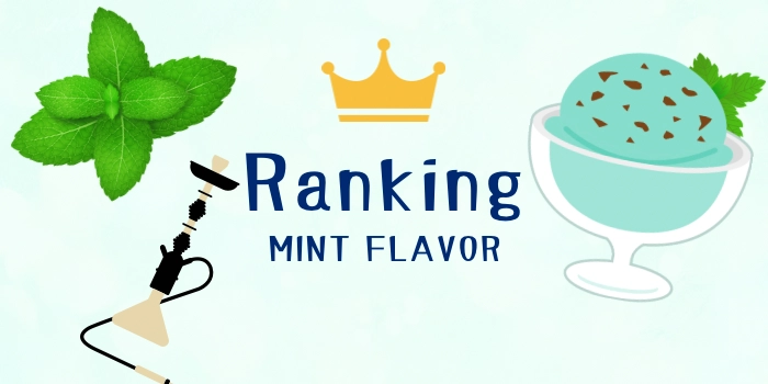ミント系で濃い味のシーシャフレーバーおすすめランキング