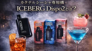 ICEBERG Dispo2とは？のイメージ画像