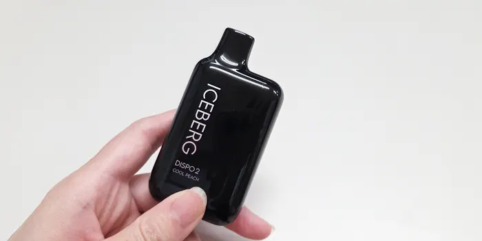 ICEBERG Dispo2を持つ手