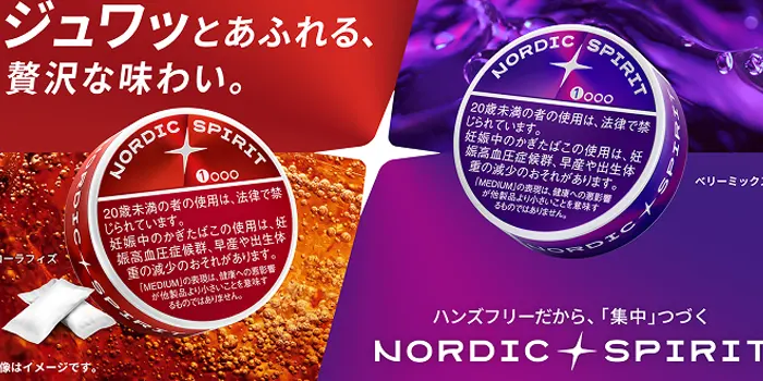 NORDIC SPIRITのティザー画像