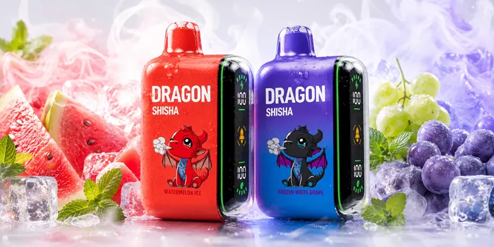 ドラゴンシーシャの味一覧